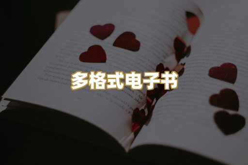 多格式电子书